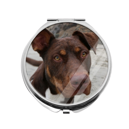 Custom Dog Pill Bottle or Compact Mirror - Add You Own Photo!