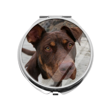 Custom Dog Pill Bottle or Compact Mirror - Add You Own Photo!