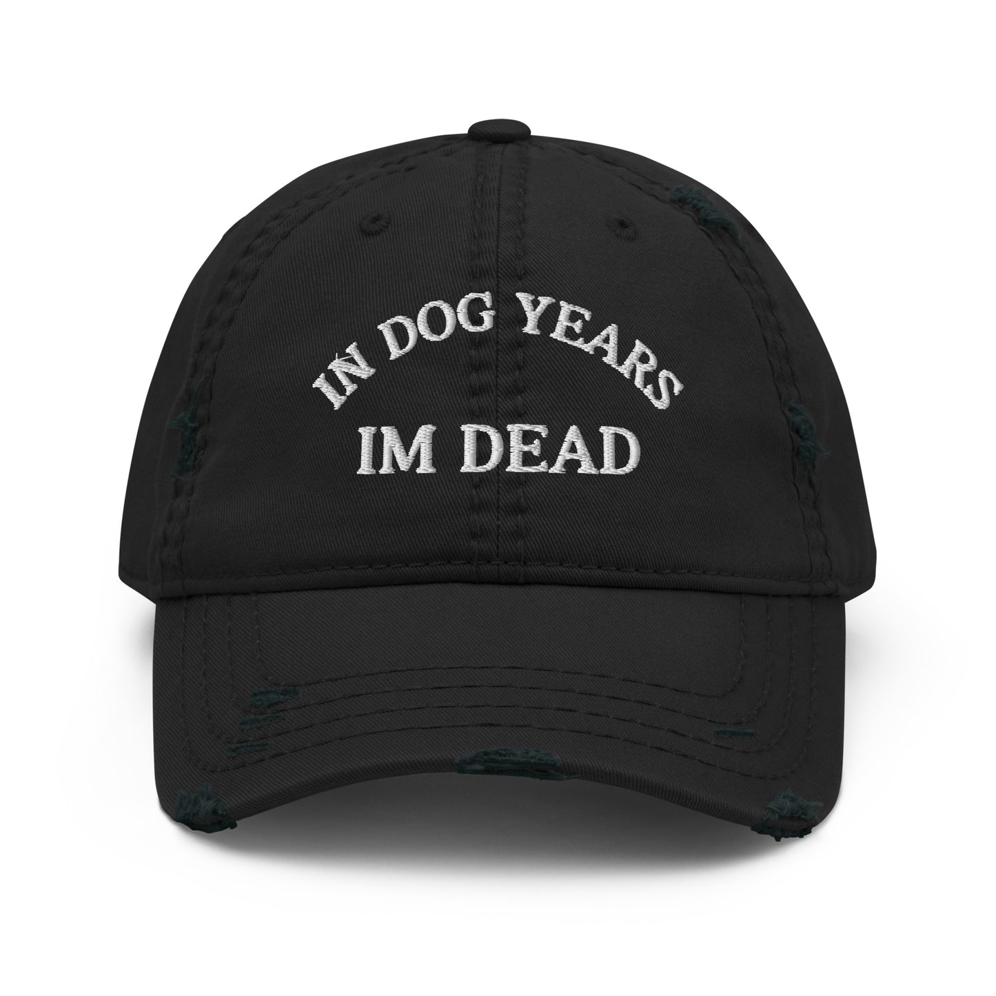 In Dog Years I'm Dead Funny Distressed Embroidered Baseball Hat