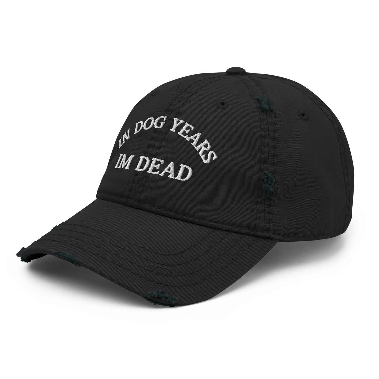 In Dog Years I'm Dead Funny Distressed Embroidered Baseball Hat