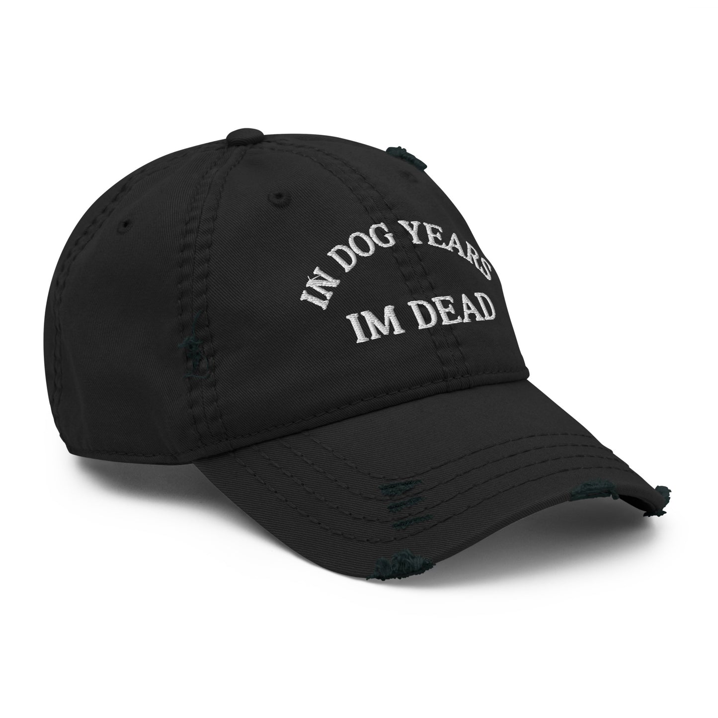 In Dog Years I'm Dead Funny Distressed Embroidered Baseball Hat