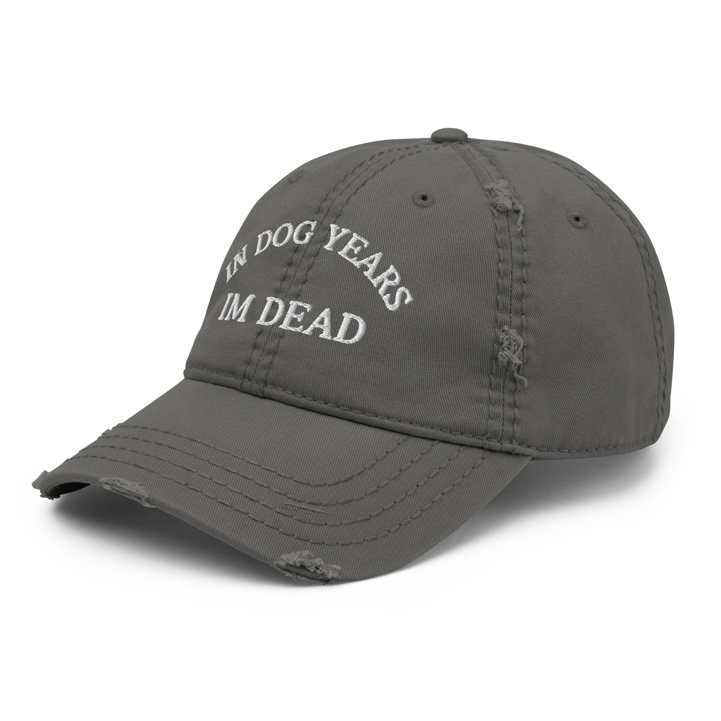 In Dog Years I'm Dead Funny Distressed Embroidered Baseball Hat