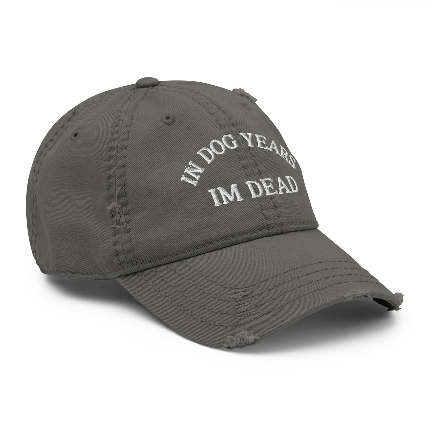 In Dog Years I'm Dead Funny Distressed Embroidered Baseball Hat