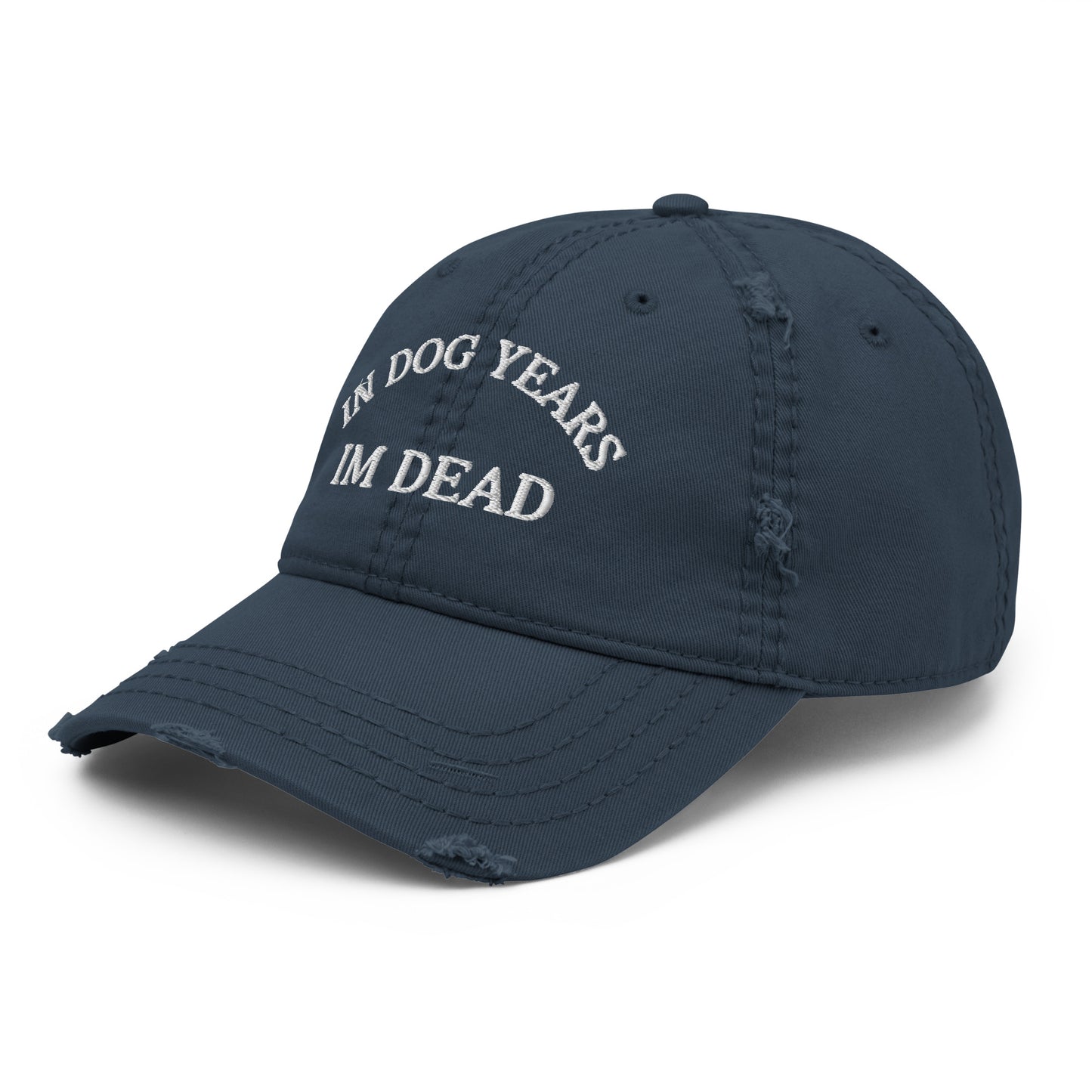 In Dog Years I'm Dead Funny Distressed Embroidered Baseball Hat