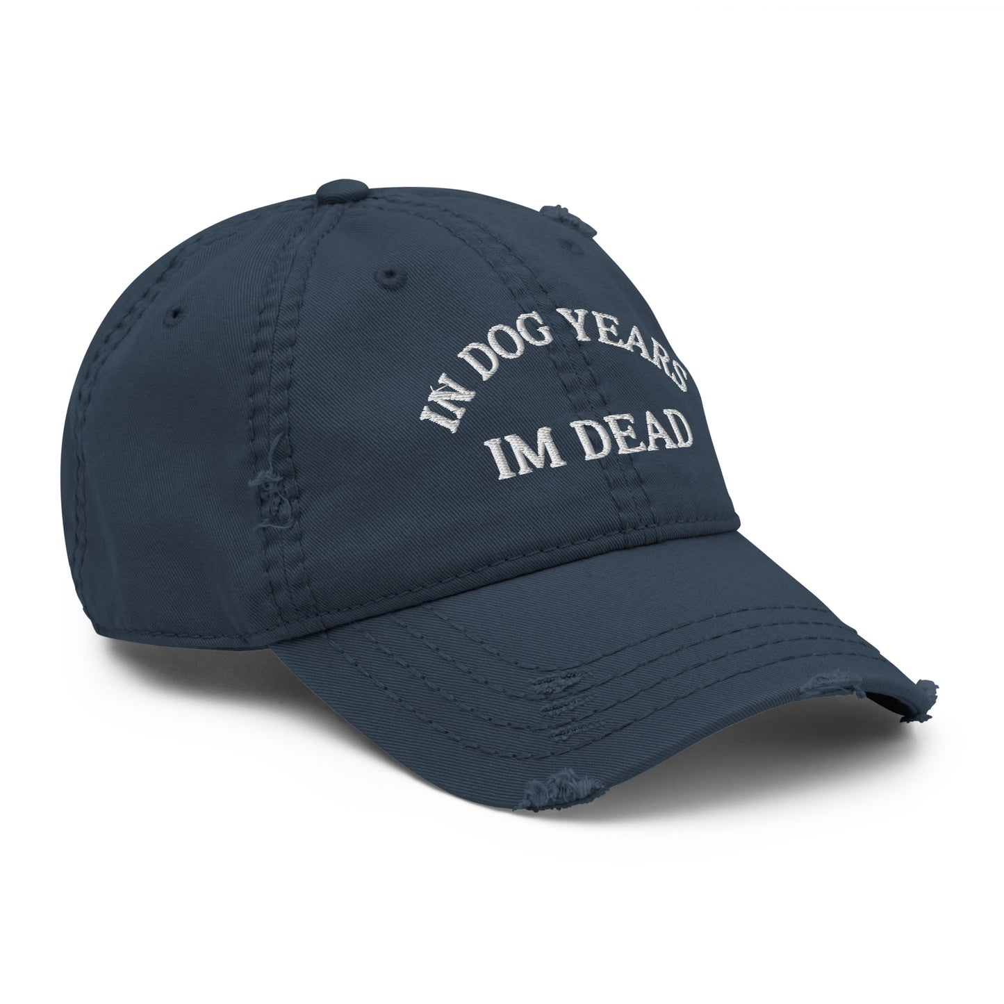 In Dog Years I'm Dead Funny Distressed Embroidered Baseball Hat