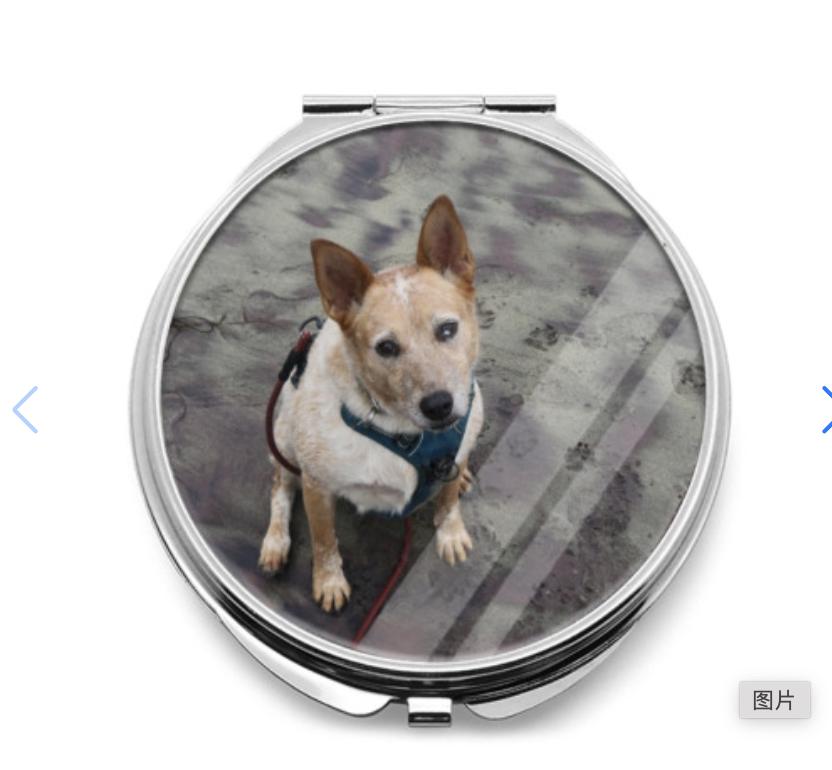 Custom Dog Pill Bottle or Compact Mirror - Add You Own Photo!